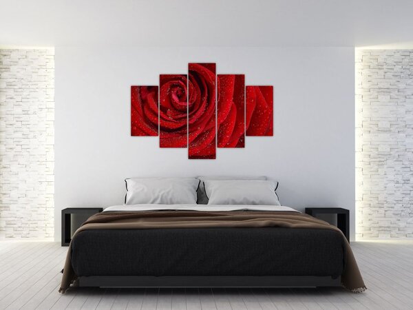 Kép - részlet a rózsáról (150x105 cm)