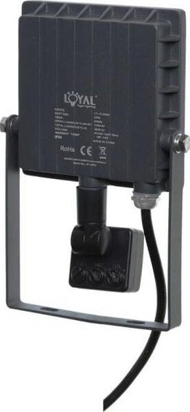Naświetlacz Loyal Lighting LAMPA Zew. LED Loyal Lighting 2800lm LUMILEDS IP65 4K sensor