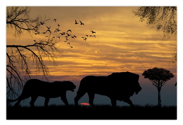 Safari képe (90x60 cm)