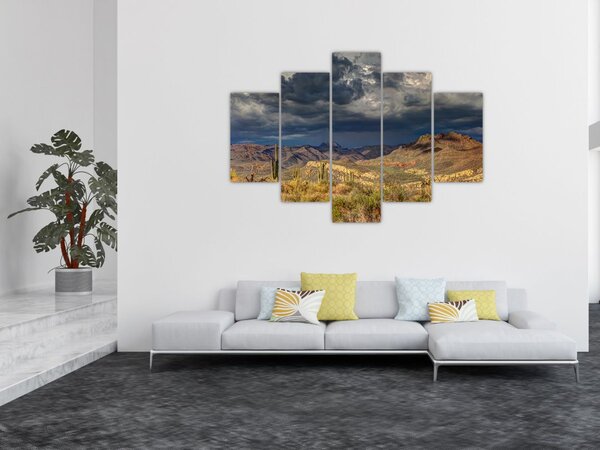 Kép - kaktuszok a természetben (150x105 cm)