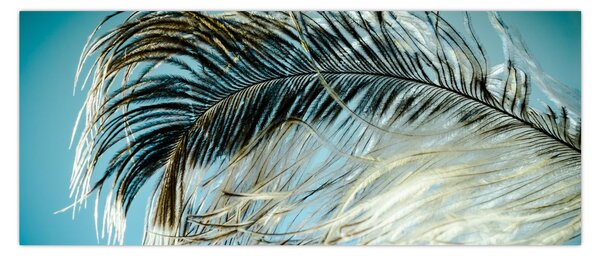 Tollas kép (120x50 cm)