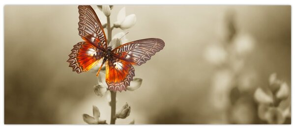 Pillangó képe (120x50 cm)