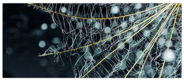 Kép - Virág pókhálóval (120x50 cm)