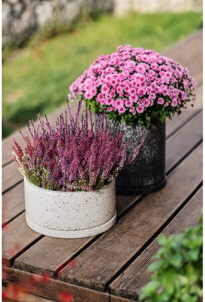 Terrazzo sötétszürke virágcserép, ø 34 cm - Bonami Selection