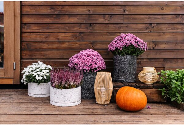 Terrazzo sötétszürke virágcserép, ø 34 cm - Bonami Selection