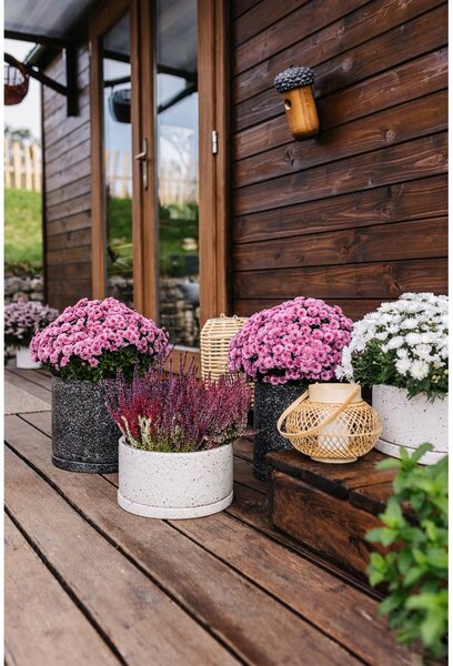 Terrazzo sötétszürke virágcserép, ø 34 cm - Bonami Selection