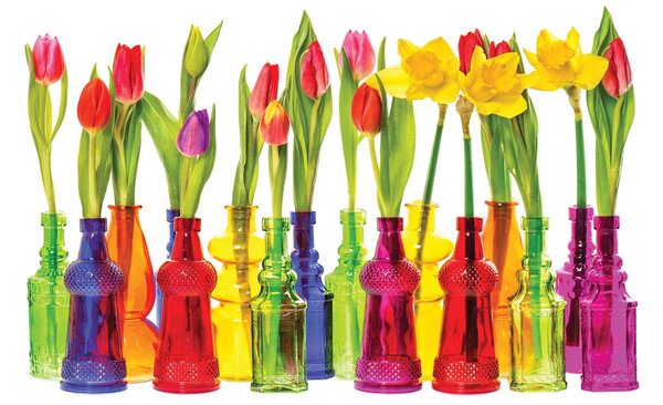 Fotótapéta - Tulipán (152,5x104 cm)