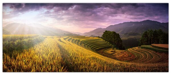 Tájkép (120x50 cm)