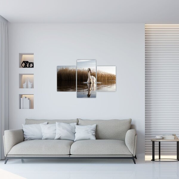Hattyú képe (90x60 cm)