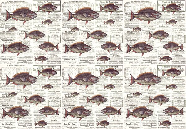 Fotótapéta - Piranhas egy régi újságban (152,5x104 cm)