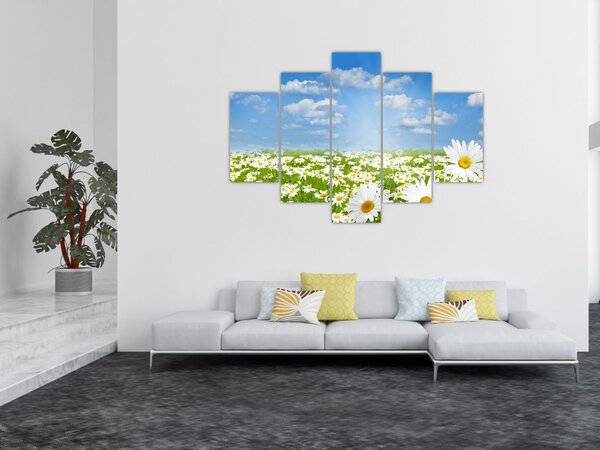 A virágzó rét százszorszépekkel képe (150x105 cm)