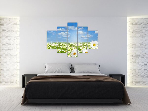 A virágzó rét százszorszépekkel képe (150x105 cm)