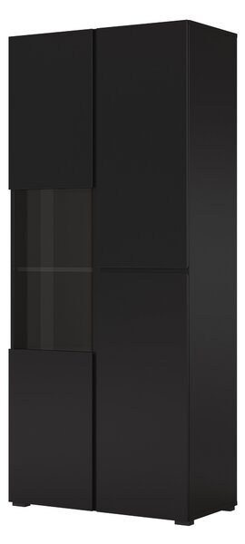 Könyvespolc Alfere 110, Zárt, Ajtókkal, Üveg, Laminált forgácslap, 183x79x40cm, Fekete