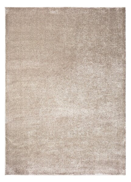 Szürke-bézs szőnyeg 160x230 cm – Universal