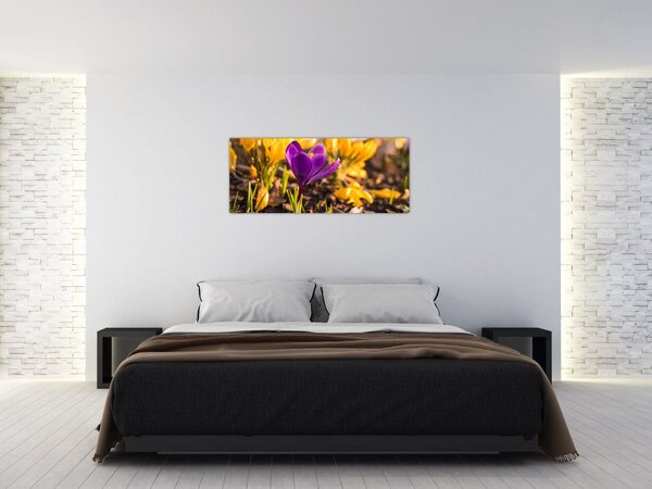 Lila virágok képe (120x50 cm)