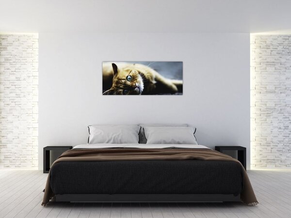 Macska képe (120x50 cm)