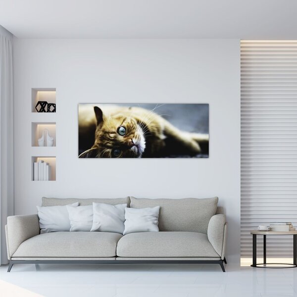 Macska képe (120x50 cm)