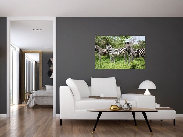 Zebrák képe (90x60 cm)