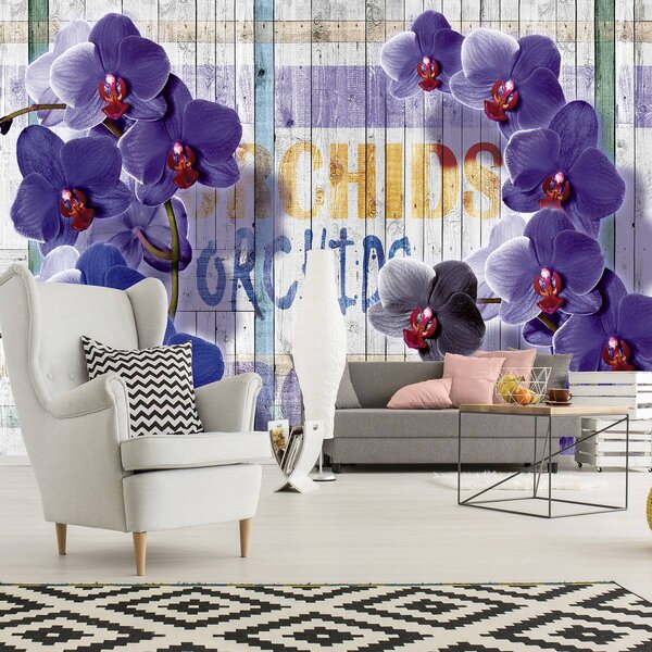 Fotótapéta - Orchidea (152,5x104 cm)