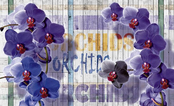 Fotótapéta - Orchidea (152,5x104 cm)