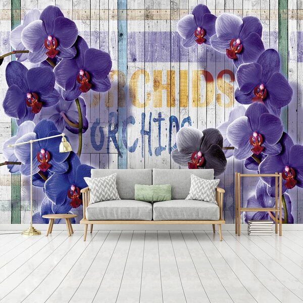 Fotótapéta - Orchidea (152,5x104 cm)