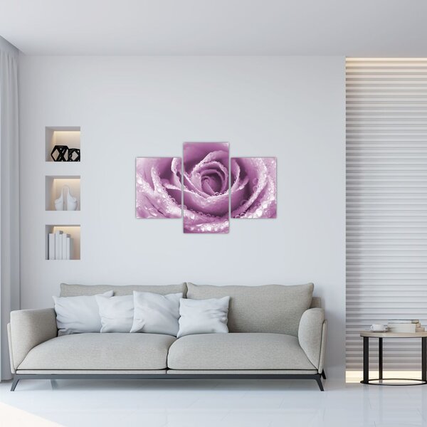 Egy rózsa virág részlete (90x60 cm)