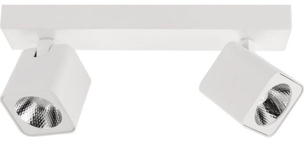 Lampa sufitowa Italux Lampa reflektor spot LED 10W AVEIRO SPL-31981-2B-WH Italux