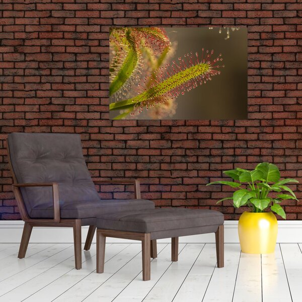 A növény képe (90x60 cm)