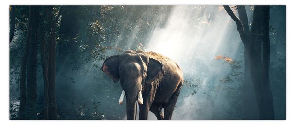 Elefánt a dzsungelben képe (120x50 cm)