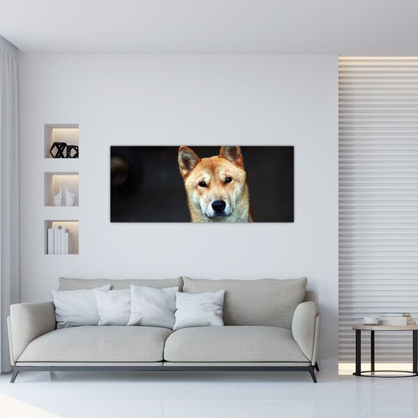 Kutya képe (120x50 cm)