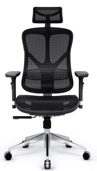 Diablo Chairs V-Basic Ergonomikus Gamer Szék Fekete