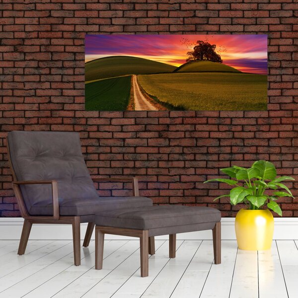 Mező és a színes ég képe (120x50 cm)