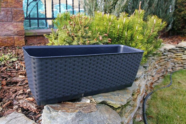 Prosperplast Ratolla Láda - 40 cm, Antracit