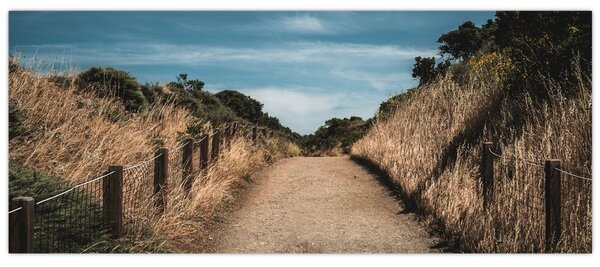 Kép - A járdán (120x50 cm)