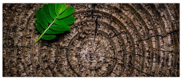 Kép egy levél a fatörzsön (120x50 cm)