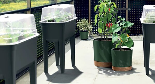 Virágcserép Prosperplast HOME GROWER paradicsom termesztéséhez 14,5 l antracit színben
