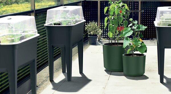 Virágcserép Prosperplast HOME GROWER paradicsom termesztésére, 35 l sötétzöld