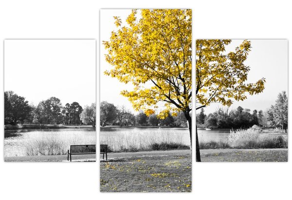 Kép - Pihenés a parkban (90x60 cm)