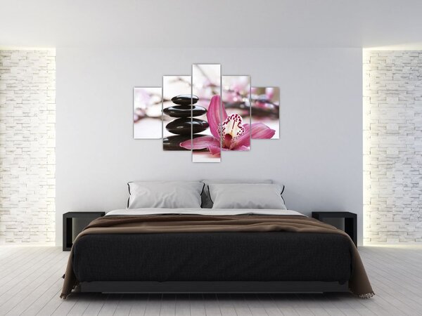 Masszázs kövek és orchideák képe (150x105 cm)