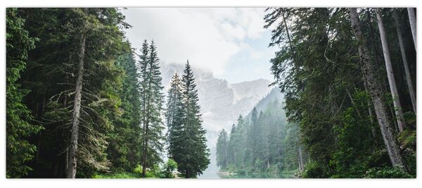 Kép az erdei tóról (120x50 cm)