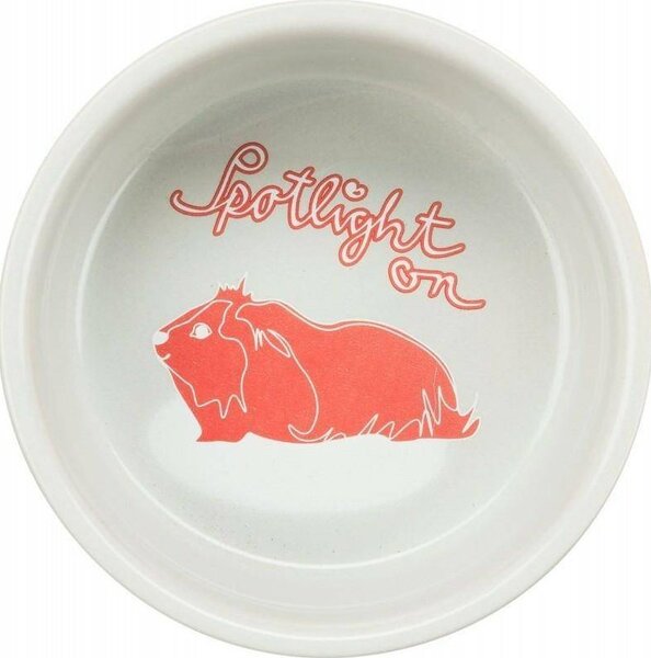 TRIXIE 60738 Kerámia Tál Tengerimalac 250 ml/11 cm Szürke/Színes Pötty Mintával Színes Árny Állattal