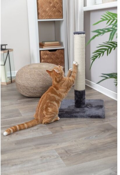 Trixie 110908 Macska Körömélező kaparófa oszlop 62 cm - Szürke
