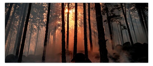 Sötét erdő képe (120x50 cm)