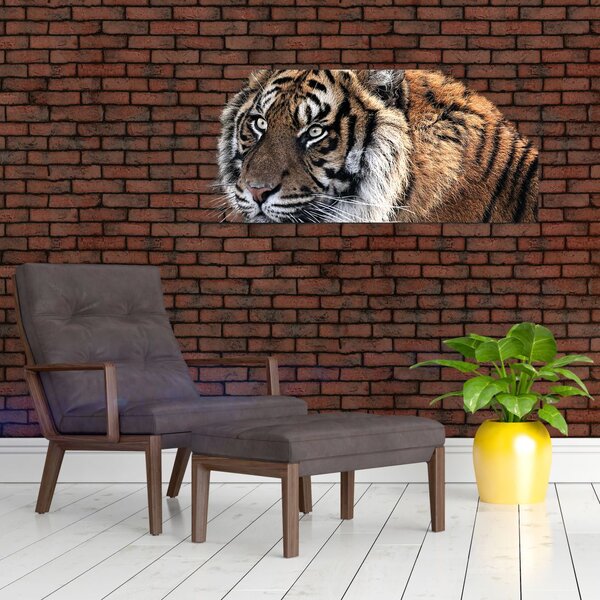 Tigris képe (120x50 cm)