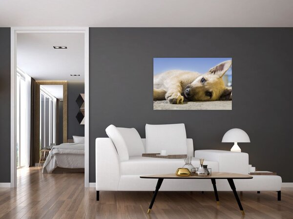 Fekvő kiskutya képe (90x60 cm)