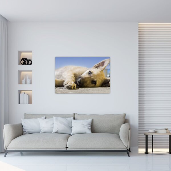 Fekvő kiskutya képe (90x60 cm)