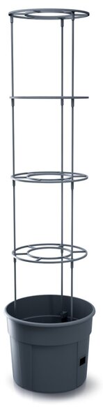 Prosperplast TOMATO GROWER kaspó paradicsom termesztésre 29,5 cm antracit