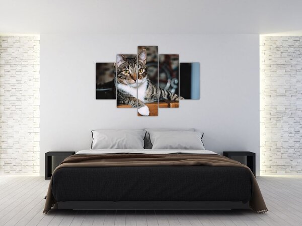 Macska képe (150x105 cm)