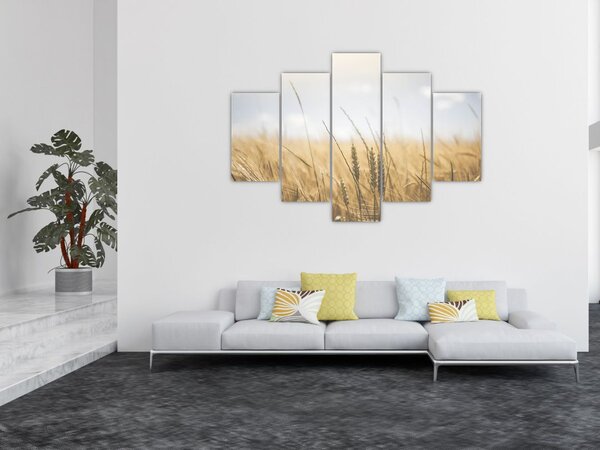 A gabona képe (150x105 cm)