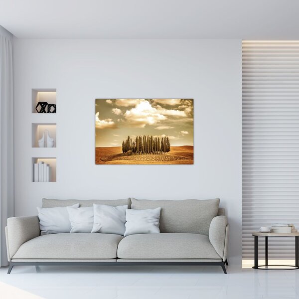 A Tisztás képe (90x60 cm)